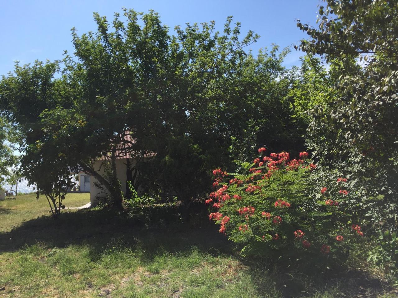 Angauel Inn Cerro Playa Rosada Palmar Zewnętrze zdjęcie
